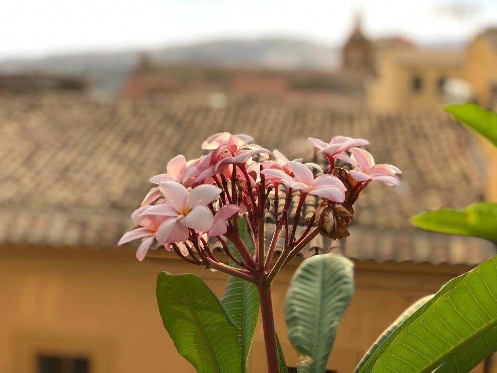 Terrazze Di Montelusa Agrigento Eksteriør bilde