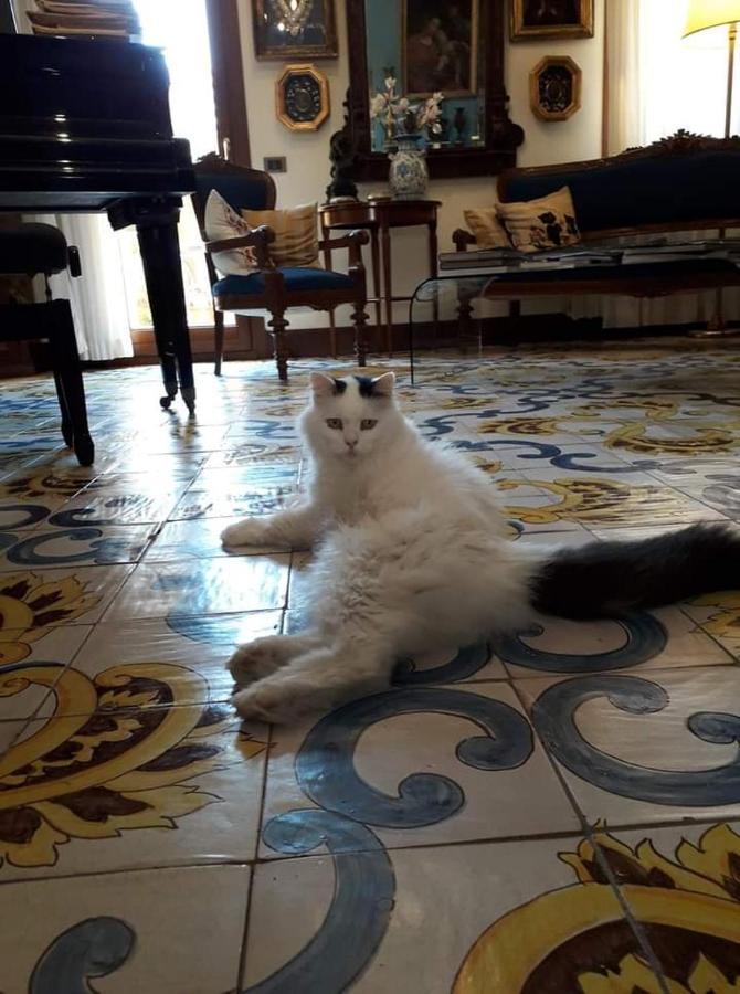 Terrazze Di Montelusa Agrigento Eksteriør bilde